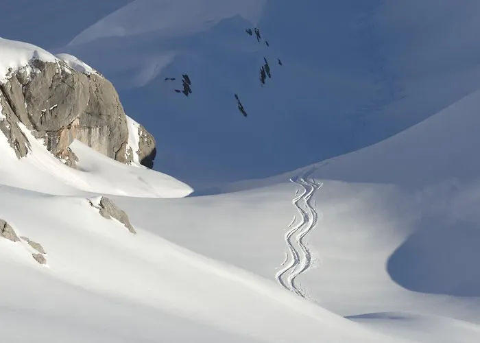 Guest house Widderstein